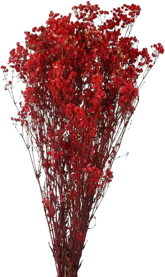 Vase with 20 Red Orchids