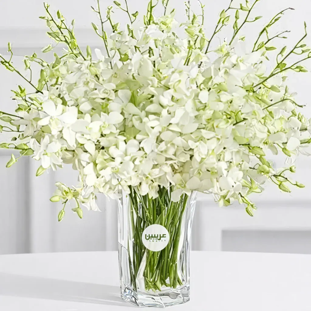 40 White Orchid Dendrobium Stems