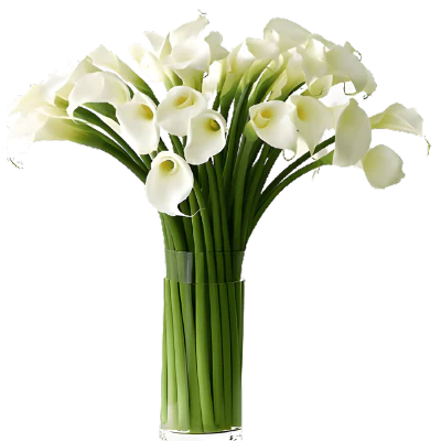 Vase with 20 Stems of Cala Lilies
